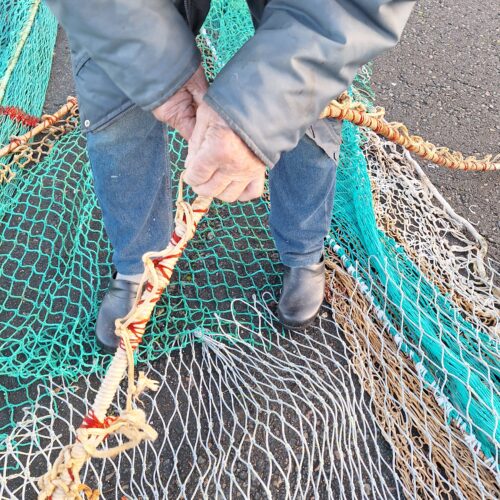 20241206 093026 20241206 093026